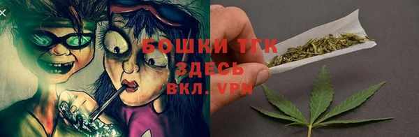 МДПВ Богородск