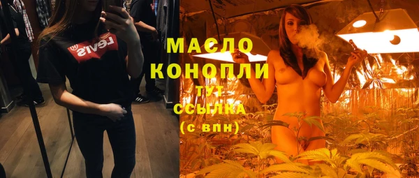 МДПВ Богородск