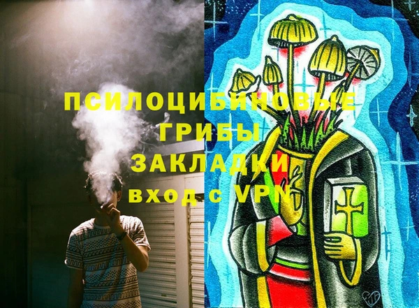 стаф Богородицк