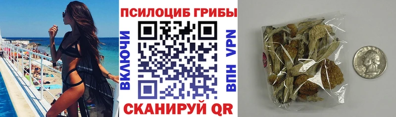 Галлюциногенные грибы мухоморы  Коряжма 